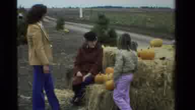California USA (1984): People Gathered Around Hay And Small Pumpkins As They Carry