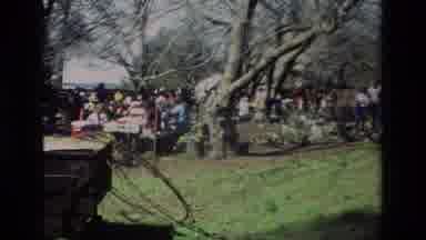 Daffodil Hill California USA (1985): Sunny Day In Park With Snow Melting And