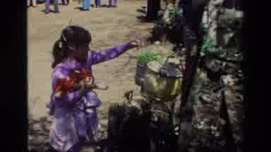 Daffodil Hill California USA (1985): Little Girl Petting A Pot