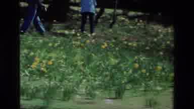 Daffodil Hill California USA (1985): Young Girl Holding Doll With Two Adults