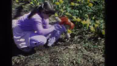 Daffodil Hill California USA (1985): Little Girl Looking At Garden Of Flowers With