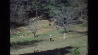 Daffodil Hill California USA (1985): Wild Animal People Careful Approach Outdoors