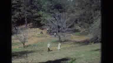 Daffodil Hill California USA (1985): Retro Video Of Multiple Families Walking In A