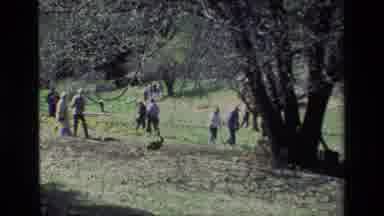 Daffodil Hill California USA (1985): People Walking Through A Park Including An