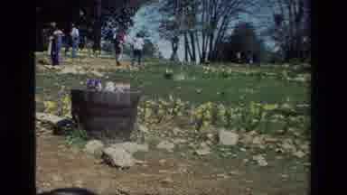 Daffodil Hill California USA (1985): People Live On The State Park Maintaining The