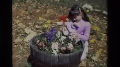 Daffodil Hill California USA (1985): Girl With Cabbage Patch Doll Sitting In Front