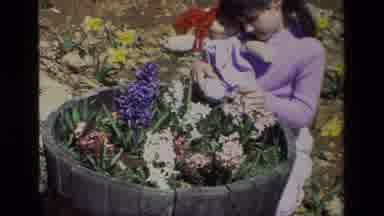 Daffodil Hill California USA (1985): Watering The Flowers
