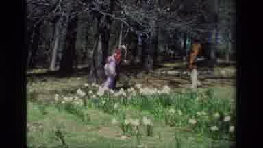 Daffodil Hill California USA (1985): Family Out Hiking In The Woods On A Sunny Day