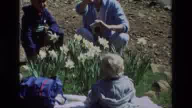 Daffodil Hill California USA (1985): Baby By Flowers Doesn't Want To Take Anymore