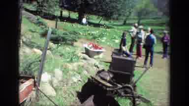 Daffodil Hill California USA (1985): Corpse In Pot