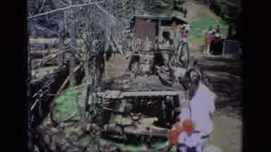 Daffodil Hill California USA (1985): People Walking Down A Trail As A Little Girl