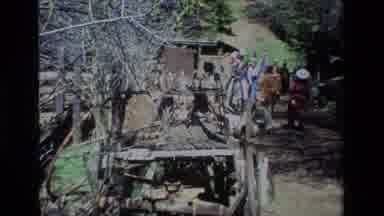 Daffodil Hill California USA (1985): A Slow Walk Up The Hill On A Bright Sunny Day