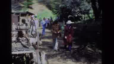 Daffodil Hill California USA (1985): People Walking Down Trail Touring Around