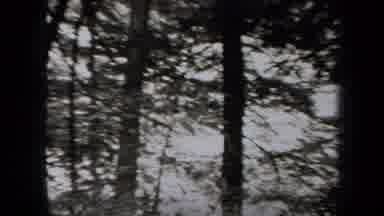 New York USA (1938): The Long Walk