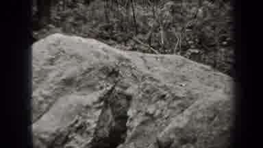 New York USA (1938): Family In Wooded Area Hiking And Enjoying Nature