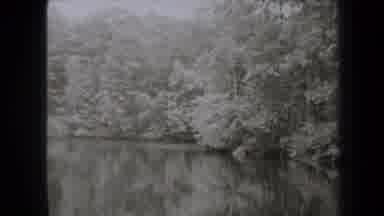 New York USA (1938): Exploring The Secret Of The Forest That Is Truly Scary