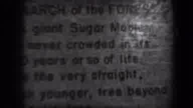 New York USA (1938): Oldblackwhite White Man Before Color Tv Book English