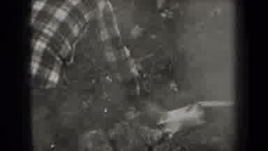 New York USA (1938): Men In The Woods Trying To Start A Fire To Cook Some Food