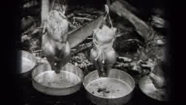 New York USA (1938): In The Place The Persons Are Grill The Chicken Naturally It's