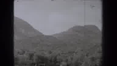 New York USA (1938): In The Jungle Surrounded By Mountains Trees Grass And Wooden