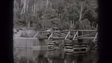 New York USA (1938): Jungle-Style Tourist Park Surrounded By A Bridge And Lake
