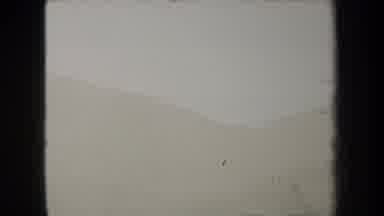 New York USA (1938): This Video View As Most Peaceful Forest In Mountain This