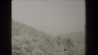 New York USA (1938): Man Working In A Field Surrounded By Scrub Brush And Trees