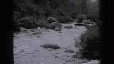 New York USA (1938): Rocks In Slow Travelling River Or Stream In Black And White