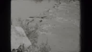 New York USA (1938): People In The Forest Who Are Male And Female By A Creek