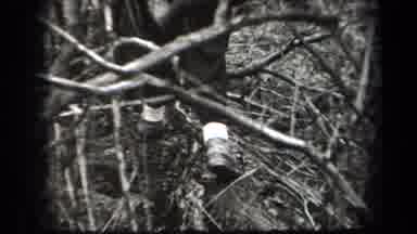 New York USA (1938): A Person In Gray Shoes Is Walking Through The Woods With Lots
