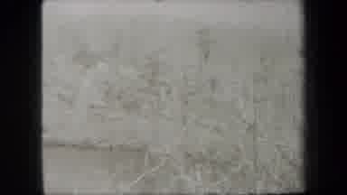 New York USA (1938): Uncolored Old Fashion Video Of People Hiking Through Woods