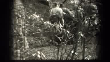 New York USA (1938): Rainforest Or Forest And Men Climbing Up The Rocks And