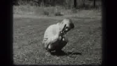 New York USA (1939): Black And White Shot Of Boy Playing With Stick And His