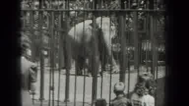 New York USA (1939): Family Trip To The Zoo/Elephant Exhibit