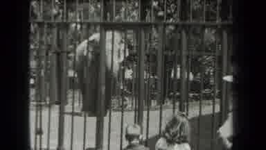 New York USA (1939): Elephant Reacting To The Spectators By Moving Trunk Up And