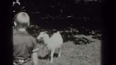 New York USA (1939): Young Boy Stares At The Camera In Awe After Seeing A Goat