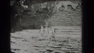 New York USA (1939): Four Penguins Standing In Their Habitat At The Zoo Right Now