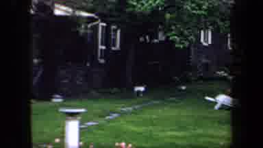 New York USA (1958): The Garden Of Our House Is Very Beautiful This Early Spring