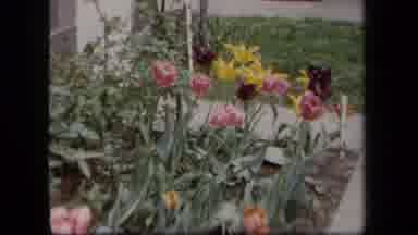 New York USA (1958): Flowers Children Playing Waiting Outside Building Garden