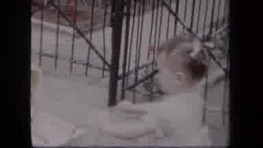 New York USA (1958): Toddler Pushing A Toy Baby Carriage Down A Sidewalk And She
