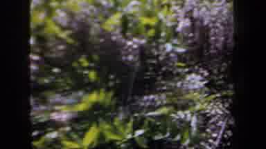 New York USA (1958): A Quick View Of A Town's Scenery