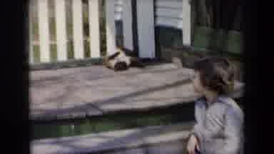 New York USA (1959): Young Boy Sits Out On Front Porch With Pet Cat Enjoying The