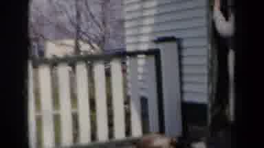 New York USA (1959): Small Boy Follows Pet As It Walks From The Porch Across The