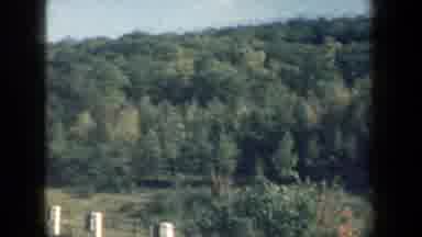 New York USA (1959): Group Of Women Go On A Trip To The Countryside Where They Can