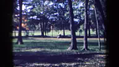 New York USA (1959): Grow Old With You