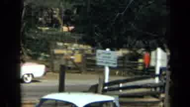 California USA (1969): Many Families Gathering Together At A Metropark At