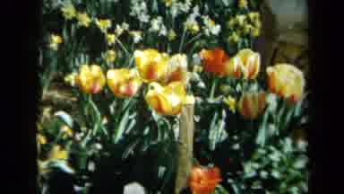 California USA (1969): A Video Taken In Perhaps Before The Year 2000 Of A Woman In