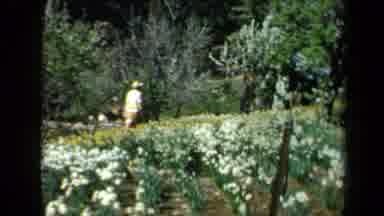 California USA (1969): Women Talking A Walk Through The Field