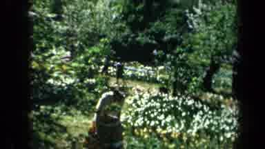 California USA (1969): Roam The Beautiful Garden Of Flower And Smell The Breeze