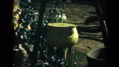 California USA (1969): Landscape With Flowers And Pottery In A Sunny Yard Garden
